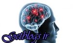 مصرف «گل» سلول‌های مغز را نابود می‌کند